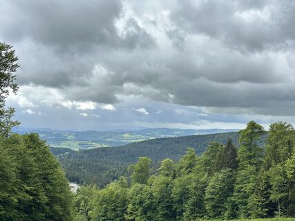 Fotografie z Natur_erleben_dg na trase