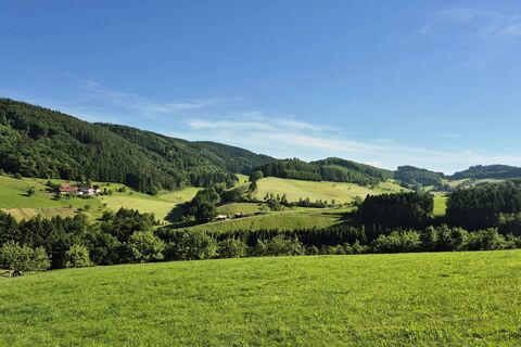 Traumhafte Landschaft bei Welschensteinach