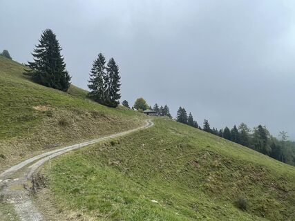 Photo de gabriel bardon le long du parcours