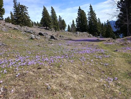 Foto von Klemen Stegu entlang der Tour