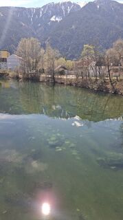 Fotografija s spletne strani Mangolein na poti