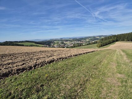 Photo de mwittner le long du parcours