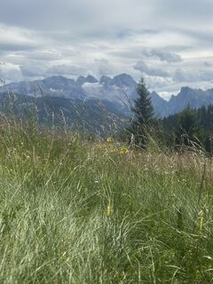 Photo de Iwona Sakowicz le long du parcours