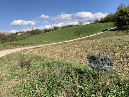 Foto da Andrea Morotti lungo il tour