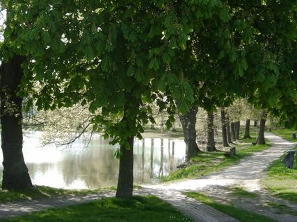 Rundweg am Herthasee