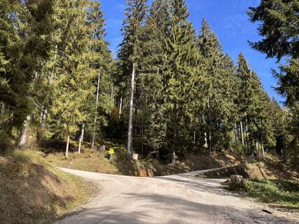 Photo de Heinz Sperl le long du parcours