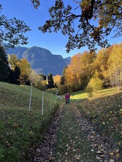 Foto von B.L. entlang der Tour
