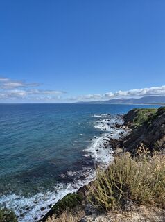 Fotografie z Monique Vroegh na trase