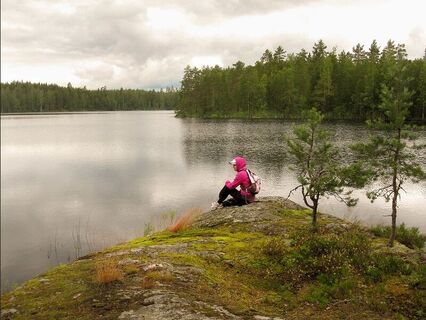 Karhulenkki