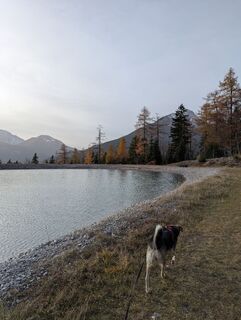 Fotografija s spletne strani Holaschkeb na poti