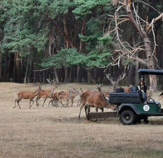 Wildpark Gangelt - Fütterung