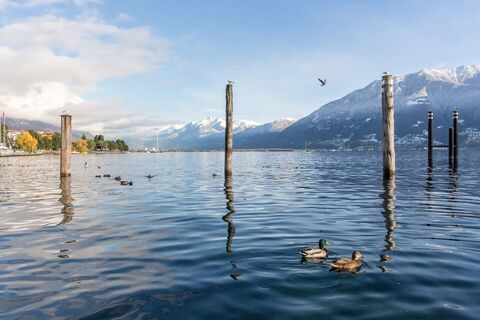 Lago Maggiore