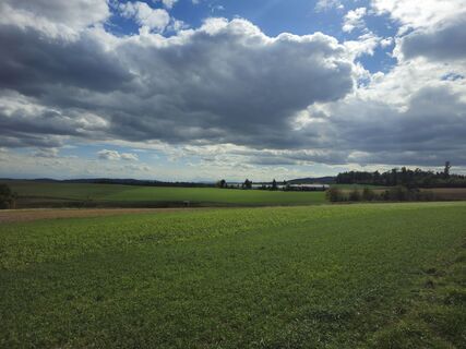 Foto von Manfred Mueri entlang der Tour
