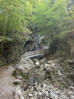 Fotografija s spletne strani Andi Koeck na poti