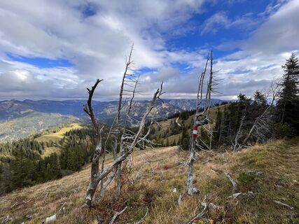 Foto de Robert.Unterlercher a lo largo del recorrido