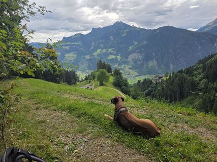 Foto von Schneekar entlang der Tour