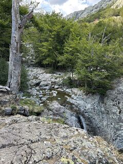 Fotografija s spletne strani DML na poti