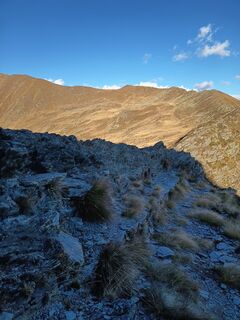 Fotografija s spletne strani Aner na poti