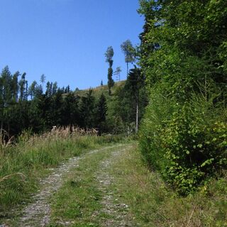 Eibisberg über Ponigl, Oststeiermark
