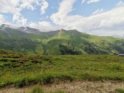 Gadaunerer Hochalm Richtung Türchlwand
