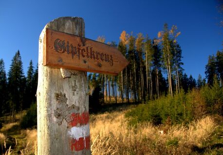 Kurz vor dem Madereckgipfel