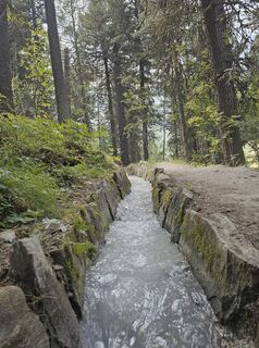 Foto de Grieshofer Gerlinde a lo largo del recorrido