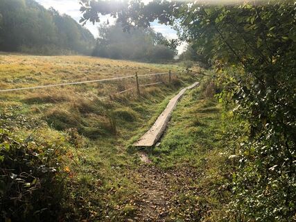 Höckerlinienweg bei Orscholz