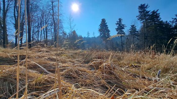 Photo de Anita Lunzer 1 le long du parcours