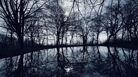 Fotografija s spletne strani ROBERTO BONIOTTI na poti