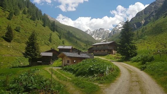 Bruggeralm-Almen-c-Stephanie-Grosslercher.jpg