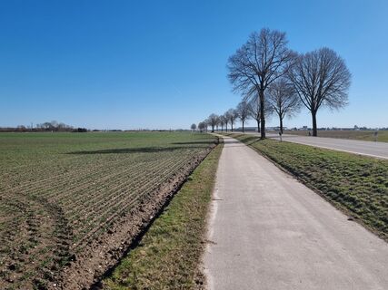 Foto von Felix entlang der Tour