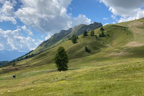 Alpe Lusia - Laghi di Lusia - Cima Bocche - ©Archivio S.i.f. Impianti Funiviari Lusia S.p.a.