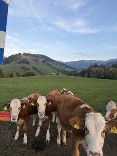 Fotografija s spletne strani Saga Pennanen na poti