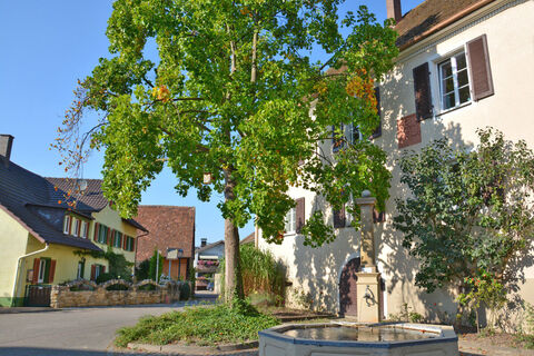 huegelheim 02 72dpi