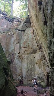 Foto von Koendebaere entlang der Tour