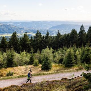 Wanderung Rennsteig Plänckners Aussicht