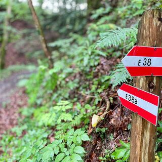Sulzbachtrail