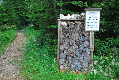 Eisenerzer Reichenstein und Krumpensee ab/bis Hirnalm