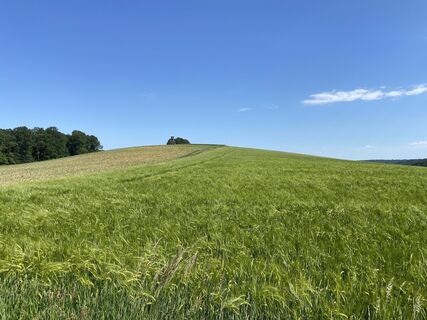Foto von Werner Schwarz entlang der Tour