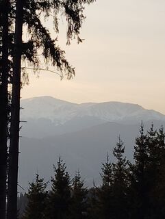 Zdjęcie z Albert Grillitsch wzdłuż trasy