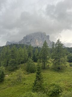 Foto de Stefan Otto a lo largo del recorrido