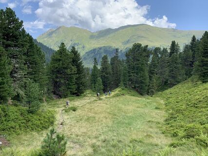 Photo de Koen De Wit le long du parcours
