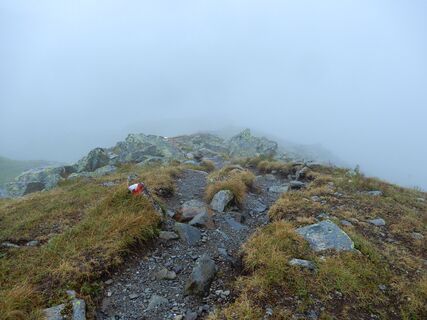 Darmstädter Hütte - Kuchenjöchli - Konstanzer Hütte
