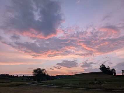 Fotografija s spletne strani Poe Michi na poti