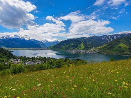 Mitterbergblick Sommer