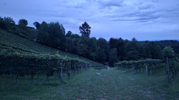 Fotografie z Meislero na trase