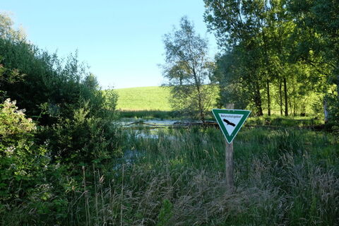 Segete Übergangsmoor