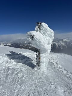 Fotografija s spletne strani Laura De Capitani na poti