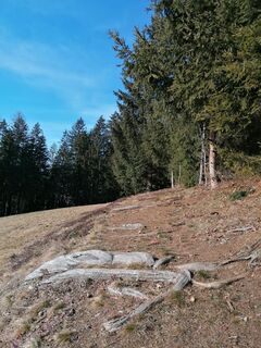 Foto von Dagmar Hofer entlang der Tour