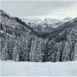 Foto von Werner entlang der Tour